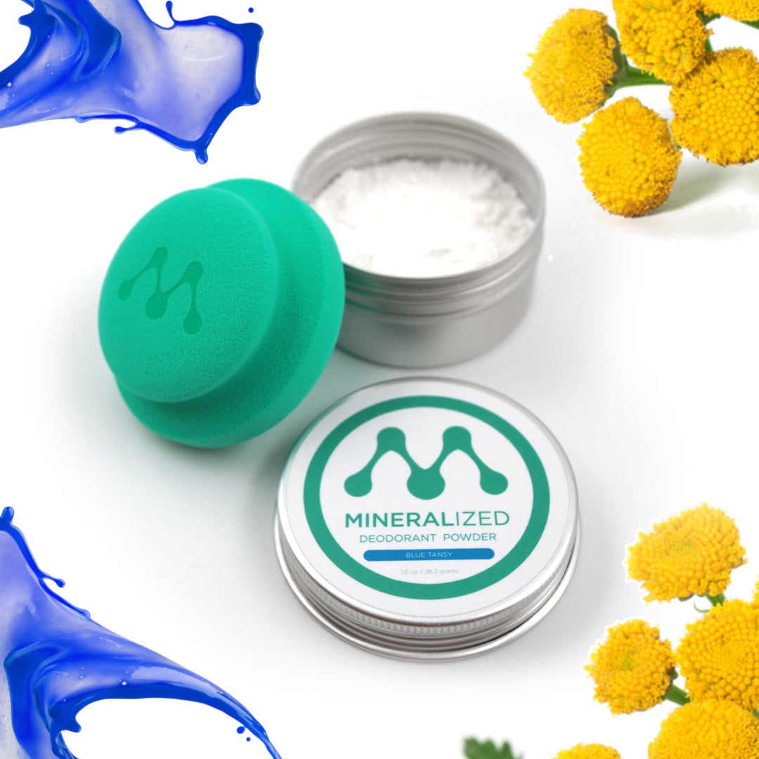 Full Size - Blue Tansy