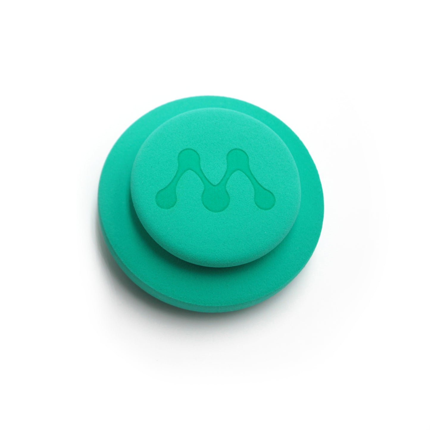 The Applicator Sponge